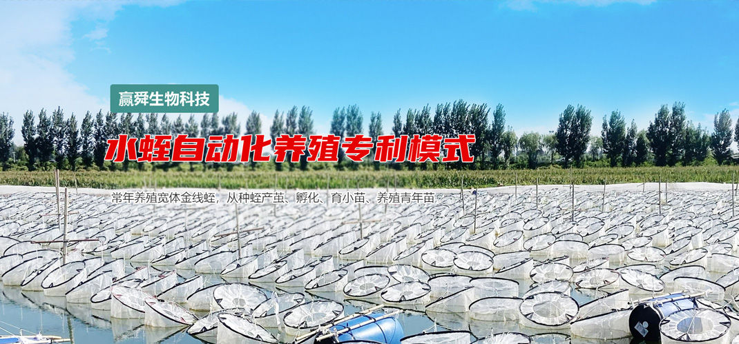 摇钱树娱乐(中国区)有限公司官网