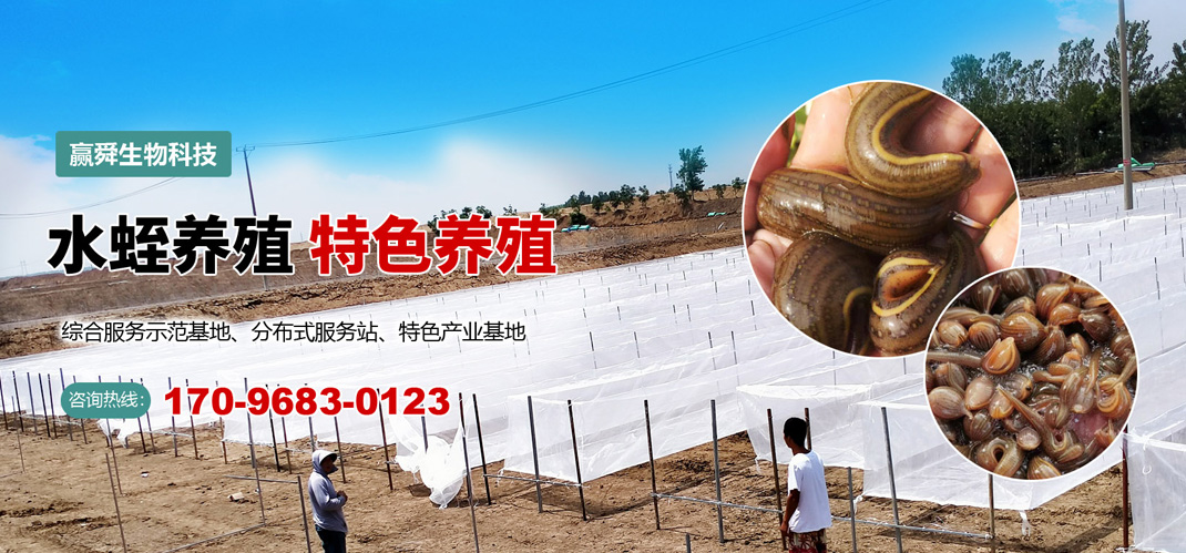 摇钱树娱乐(中国区)有限公司官网