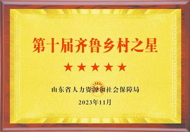 资质荣誉