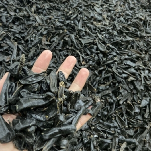 摇钱树娱乐(中国区)有限公司官网制品