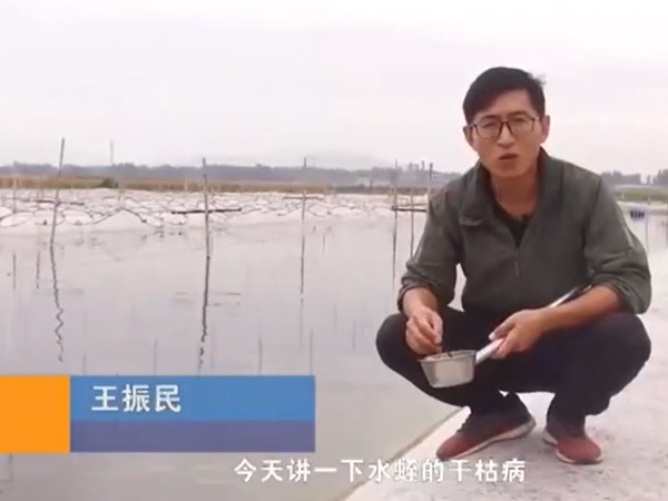 摇钱树娱乐(中国区)有限公司官网干枯病产生涯法规及防治步骤