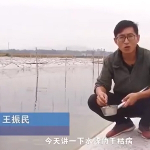 摇钱树娱乐(中国区)有限公司官网干枯病产生涯法规及防治步骤