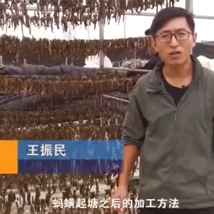 摇钱树娱乐(中国区)有限公司官网加工步骤